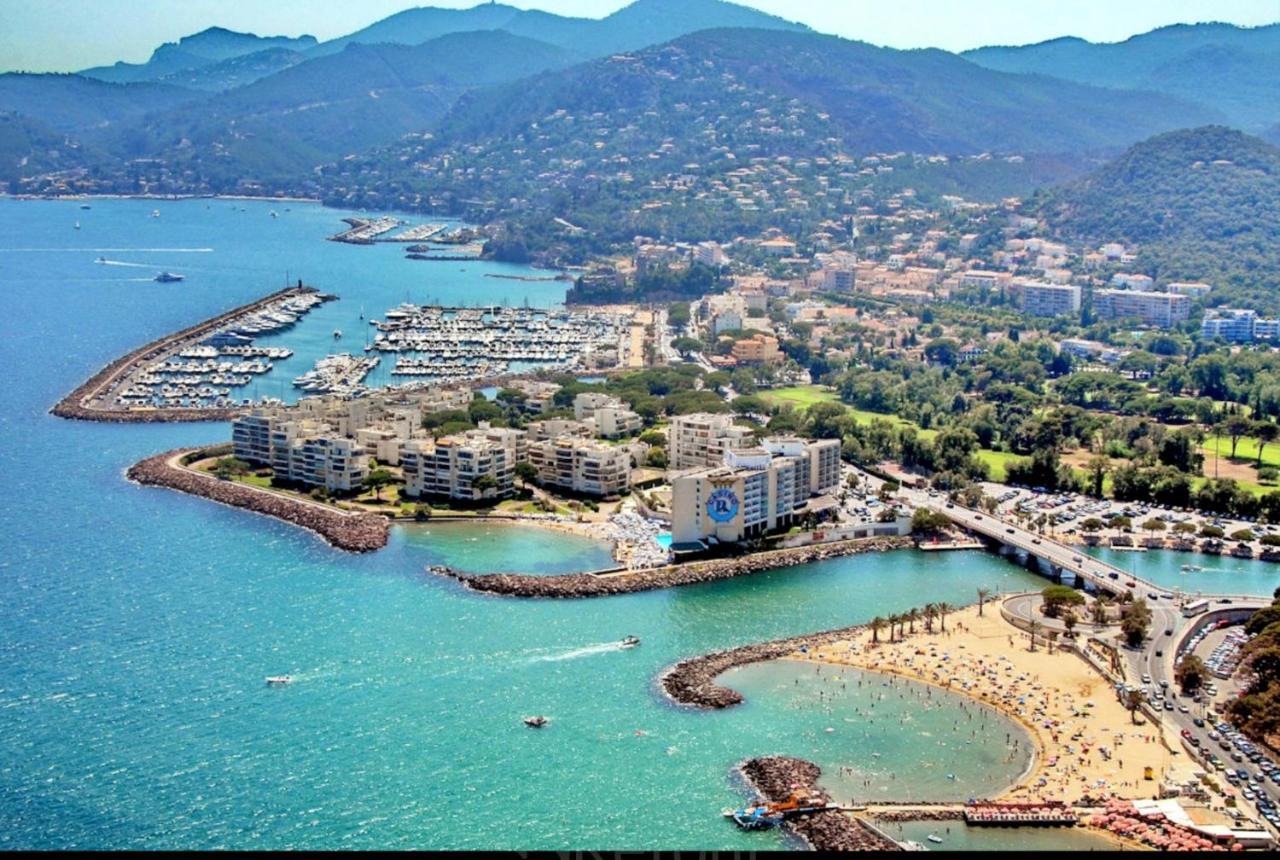 Garden And Beach Sea View Apartment Cannes มองเดอลิเยอลานาปูล ภายนอก รูปภาพ