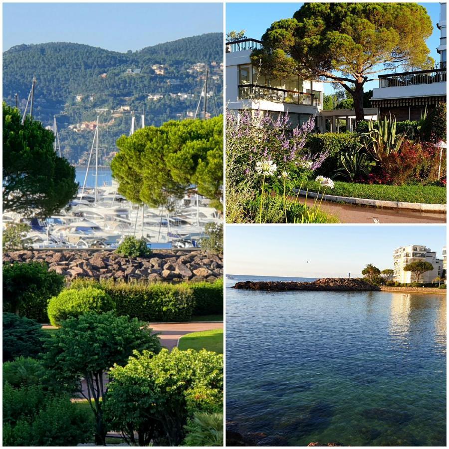 Garden And Beach Sea View Apartment Cannes มองเดอลิเยอลานาปูล ภายนอก รูปภาพ
